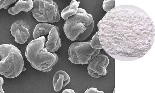 SEM image(5000x)

